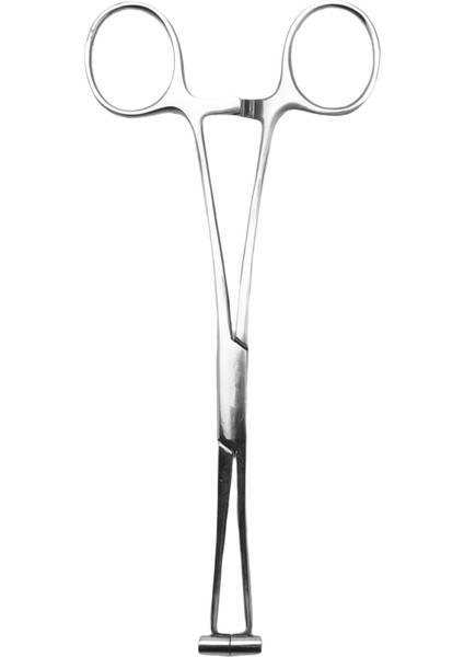 Septum Forcep Paslanmaz Çelik Iğne Kelepçesi, Kaş Delinmiş Için Vücut Pirsing Aracı Profesyonel Delinme Aracı (Yurt Dışından)