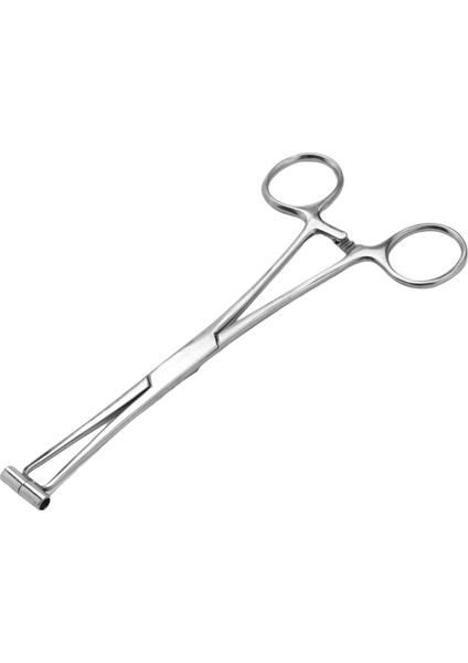 Septum Forcep Paslanmaz Çelik Iğne Kelepçesi, Kaş Delinmiş Için Vücut Pirsing Aracı Profesyonel Delinme Aracı (Yurt Dışından)