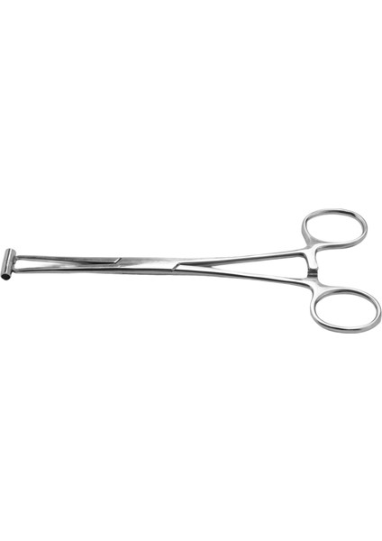 Septum Forcep Paslanmaz Çelik Iğne Kelepçesi, Kaş Delinmiş Için Vücut Pirsing Aracı Profesyonel Delinme Aracı (Yurt Dışından)