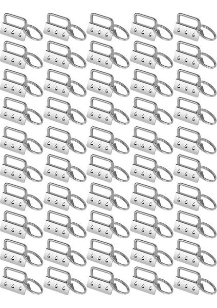 100 Adet Anahtarlık Donanım Bölünmüş Yüzükler Seti Kuyruk Klipleri Bileklik Kelepçe Kordon Anahtarlık Dıy Aracı Halkalı (Yurt Dışından) fiyatları