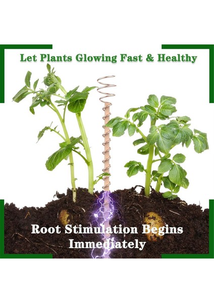 8'li Paket Elektrokültür Bakır Bahçe Anteni - Saf Bakır Tel, Büyüyen Bitkiler Için Kazıklar (12 Inç) (Yurt Dışından) modelleri