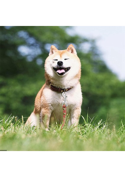 40 Adet Yaylı Kancalar Köpek Tasma Yaka Bağlama, Ağır Hizmet Tipi Döner Toka Gözlü Cıvata Toka Tetik Klipsi Bahar Evcil Hayvan Tokası (Yurt Dışından)