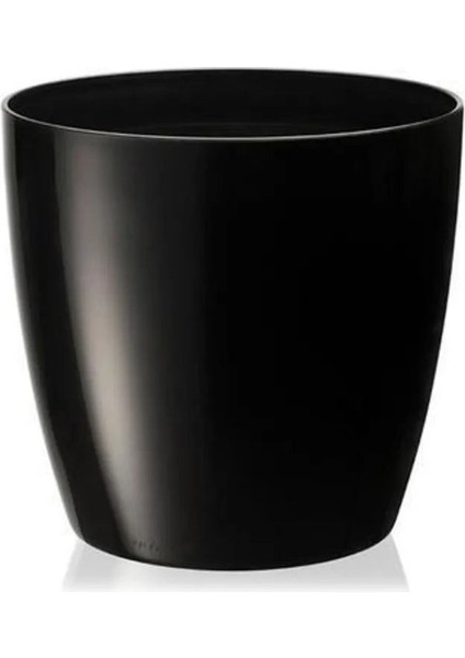 1no Saksı 0.68LT ROYALEKS-YK01