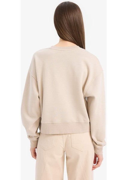 Boxy Fit Bisiklet Yaka Basic Düz Kalın Sweatshirt E4732AX25SP