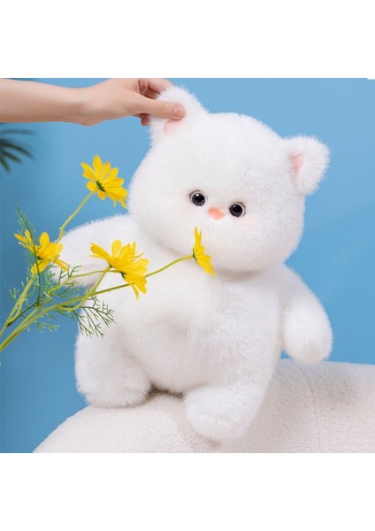 35CM Beyaz Kedi Sevimli Peluş Oyuncak (Yurt Dışından)