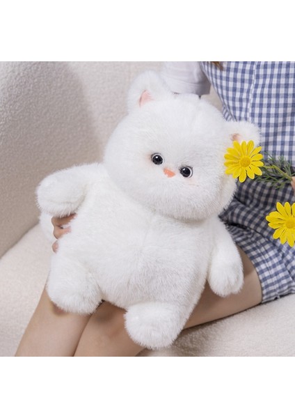 35CM Beyaz Kedi Sevimli Peluş Oyuncak (Yurt Dışından)