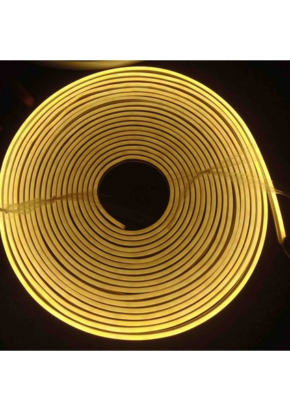 10 Metre Neon LED
