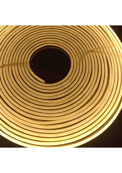 10 Metre Neon LED