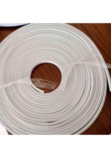 10 Metre Neon LED
