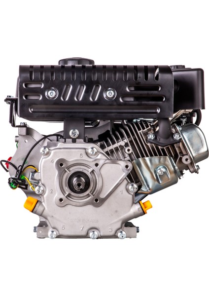 LC170F-A10 Eur5 Çapa Tipi Benzinli Motor 7 Hp