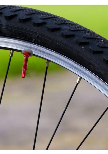 No.4 Tarzı 2 Adet Bisiklet Tubeless Presta Vana Ste Fv Nipel Pirinç Çekirdek Presta Vana Kök Kiti Mountainroad Bisiklet Için (Yurt Dışından)