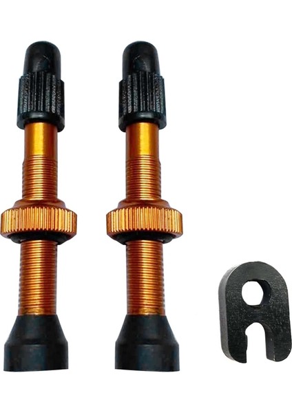 74 mm Siyah Stil Mtb Dağ Yol Bisikleti Tubeless Lastikler Için Aracı ile 1 Çift Bisiklet Presta Vana Pirinç Çekirdek Alaşım Kök (Yurt Dışından) indirimleri