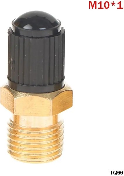 Resim Stili Olarak Otomobil Lastik Vana Çekirdek Motosiklet Tubeless Lastik Vidalı Vana Lastik Basıncı Izleme Lastiği Npt Npt M10 Bakır Vana (Yurt Dışından)
