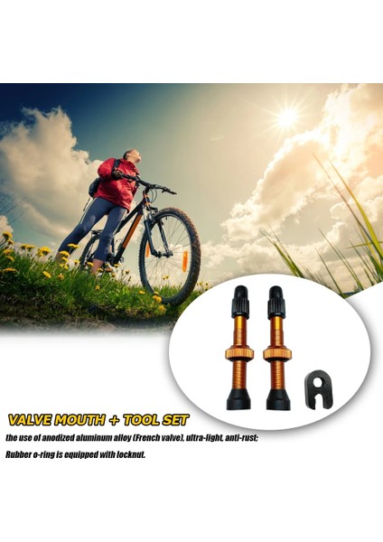 Mor Tarzı Uyumlu Mtb Yol Bisikleti Tubeless Lastikler Için 2 Adet Bisiklet Presta Vana Bisiklet Bisiklet Aksesuarları (Yurt Dışından) fırsatları