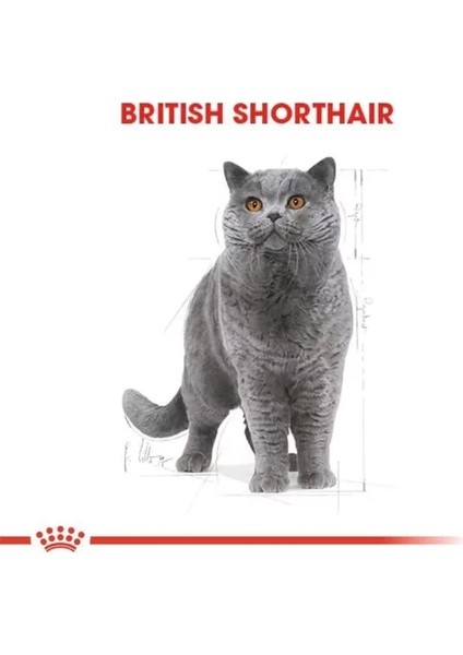 British Shorthair Adult Yetişkin Kedi Maması 10 kg