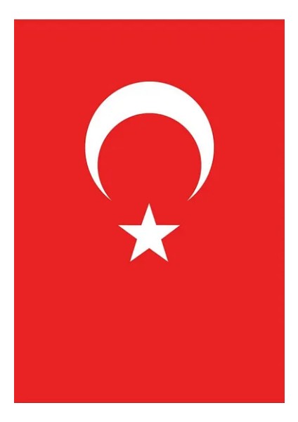 30X45 cm Türk Bayrağı Kenarı Dikişli %100 Polyester+Pamuklu (Alpaka Kumaş)