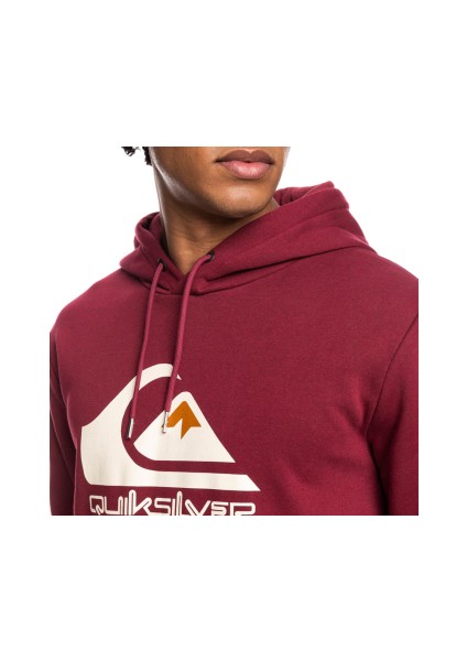 Bıg Logo Hood