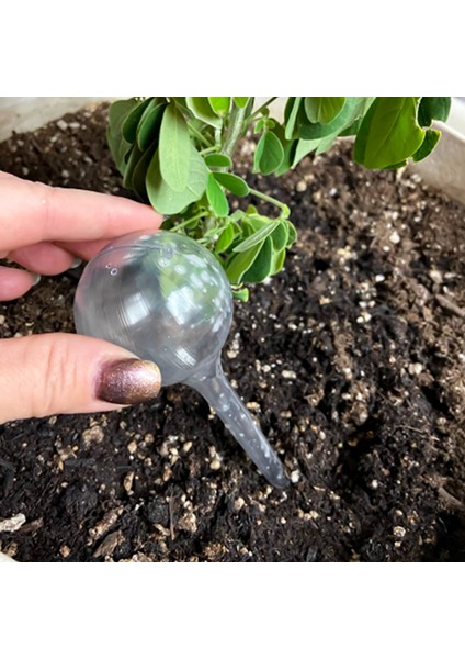 12 Adet Bitki Sulama Ampulleri Kendiliğinden Sulanan Küreler Pot Ampul Bahçe (Yurt Dışından) fırsatları