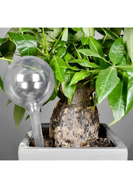 12 Adet Bitki Sulama Ampulleri Kendiliğinden Sulanan Küreler Pot Ampul Bahçe (Yurt Dışından) indirimleri