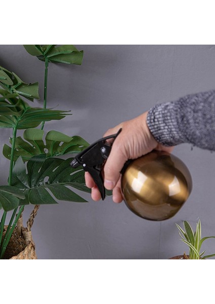 Sulama Can Pot Bitki Mister Sprey Şişesi Etli Sulama Şişesi Püskürtücü Bahçe Aracı Su Tutucu-Siyah (Yurt Dışından) fırsatları