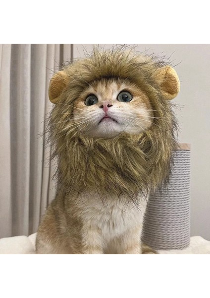 Kedi Şapkaları Aslan Yelesi Şapkaları Kedi Perukları Evcil Hayvan Şapkaları Kedi Cadılar Bayramı Kostüm Aksesuarları Köpek Şapkaları Peluş Komik Komik Evcil Hayvan Malzemeleri (Yurt Dışından)