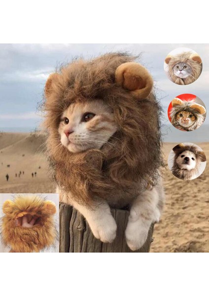Kedi Şapkaları Aslan Yelesi Şapkaları Kedi Perukları Evcil Hayvan Şapkaları Kedi Cadılar Bayramı Kostüm Aksesuarları Köpek Şapkaları Peluş Komik Komik Evcil Hayvan Malzemeleri (Yurt Dışından)