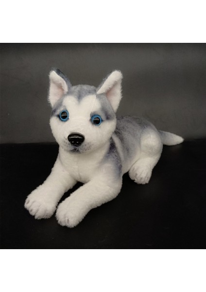 Childrenworld Köpek Doldurulmuş Oyuncak Gerçekçi Şekil Sevimli Husky Köpek Peluş Oyuncaklar (Yurt Dışından) fiyatları