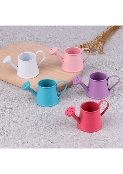 Adet 1/6 1/12 Dollhouse Minyatür Metal Sulama Kovası Dollhouse Mini Bahçe Dekor Cologo (Yurt Dışından)