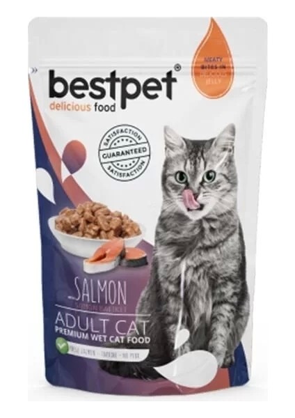 Adult Jelly Pouch Somonlu Yaş Kedi Maması 85 gr
