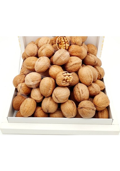 Kahramanmaraş Kabuklu Ceviz 2 kg