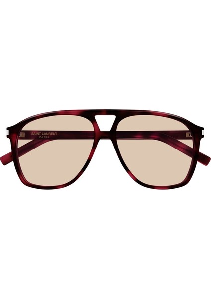 Saint Laurent SL596 Dune 003 Kadın Güneş Gözlüğü