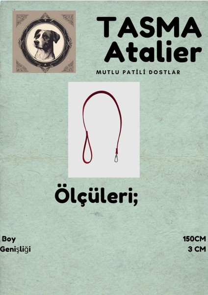 Köpek Gezdirme Tasması modelleri