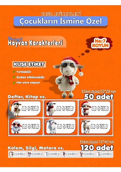 Koyun Kuşe Etiket İsme Özel Hobi - Okul Seti 170 Adet