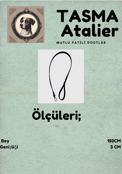 Köpek Gezdirme Tasması modelleri