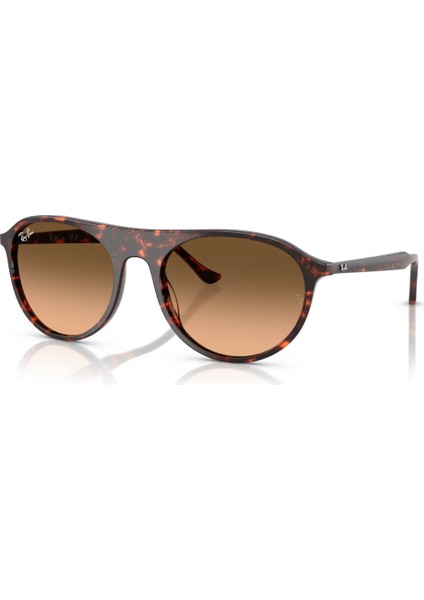 Rb 2215 14293B 56 Ray-Ban Kadın Güneş Gözlüğü