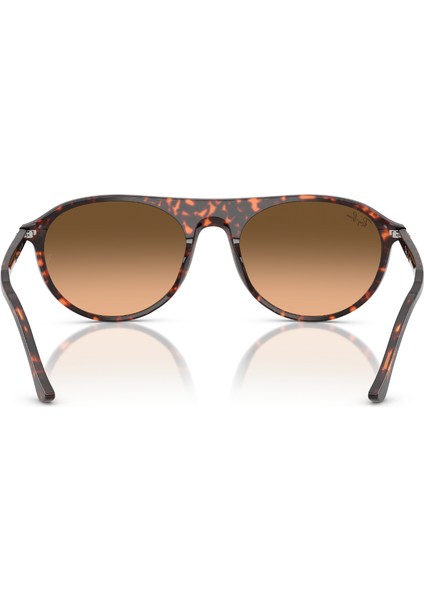 Rb 2215 14293B 56 Ray-Ban Kadın Güneş Gözlüğü modelleri