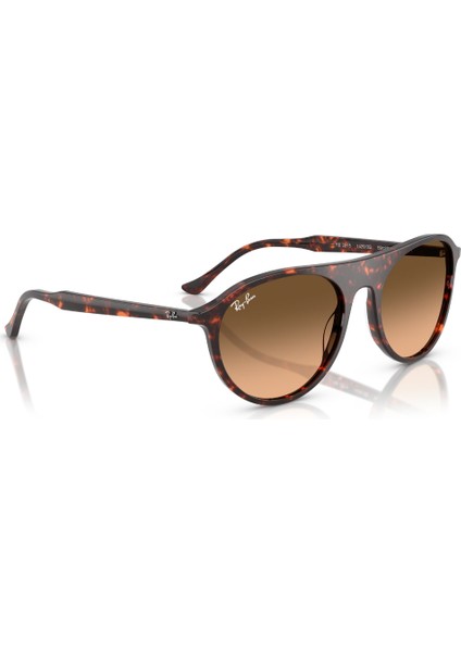 Rb 2215 14293B 56 Ray-Ban Kadın Güneş Gözlüğü fırsatları