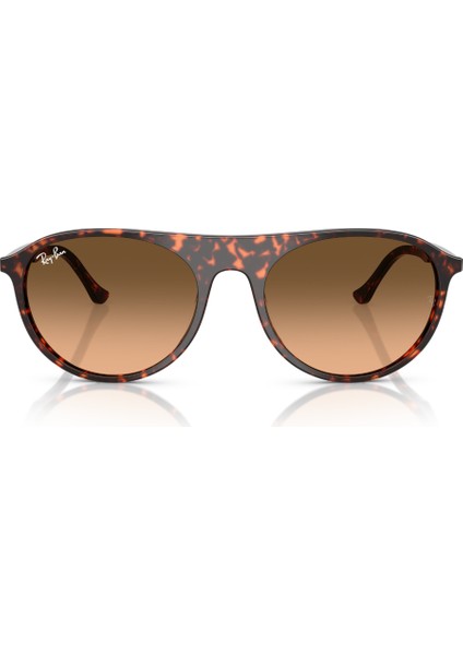 Rb 2215 14293B 56 Ray-Ban Kadın Güneş Gözlüğü indirimleri