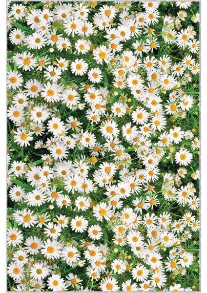 Yeşil Kaymaz Papatyalı Kesme Rulo Özel Ölçülü Yolluk AR252 modelleri