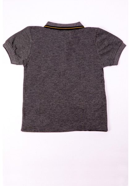 Erkek Çocuk Tshirt Polo Yaka A7 fiyatları