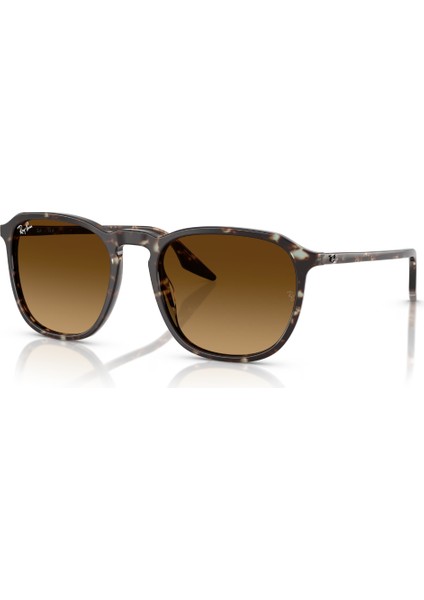 Rb 2203 143185 55 Ray-Ban Unisex Güneş Gözlüğü