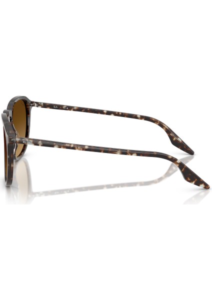 Rb 2203 143185 55 Ray-Ban Unisex Güneş Gözlüğü