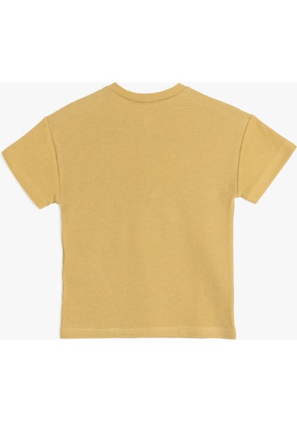 Pamuklu Kaktüs Nakış Detaylı Dokulu Bisiklet Yaka Kısa Kollu Tişört fiyatları