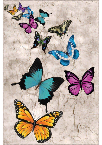 Renkli Kaymaz Kelebekli Kesme Rulo Özel Ölçülü Yolluk AR1170 modelleri