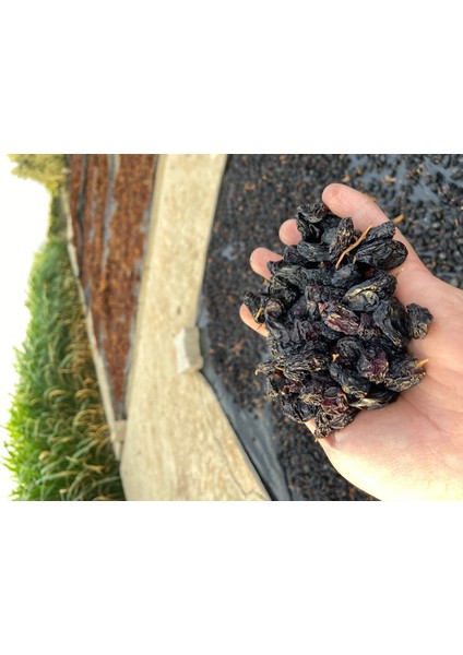 Çekirdekli Siyah Üzüm (Işlem Görmemiş) 1kg fiyatları