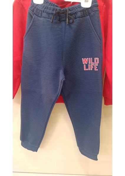 Erkek Çocuk Kaplan Basklı Fermuarlı Sweatshirt Lacivert Alt Ikili Takım fiyatları