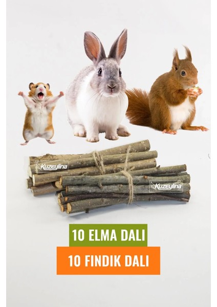 Kemirgenler Için Doğal Elma ve Fındık Dalı Seti - 10 Adet Fındık Dalı ve 10 Adet Elma Dalı"