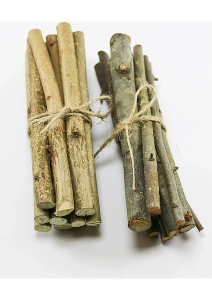 Kemirgenler Için Doğal Elma ve Fındık Dalı Seti - 10 Adet Fındık Dalı ve 10 Adet Elma Dalı" fiyatları