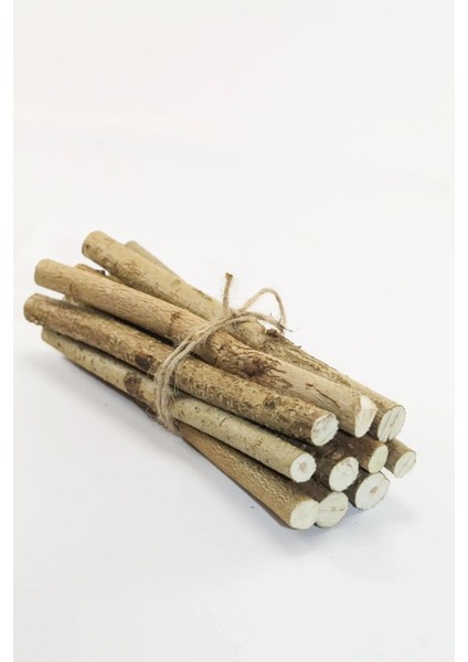 Kemirgenler Için Doğal Elma ve Fındık Dalı Seti - 10 Adet Fındık Dalı ve 10 Adet Elma Dalı" fırsatları