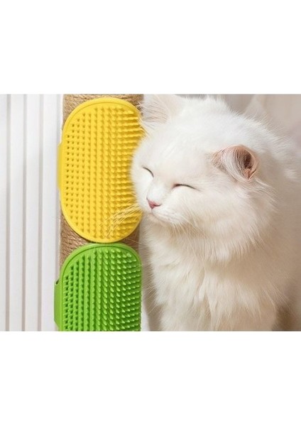 Yeni Hayvan Tüy Toplama Yıkama Ve Köşe Knma Silikon Fırçası fırsatları